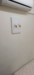 Blk 807 Khatib Gardens (Yishun), HDB 4 Rooms #580776731